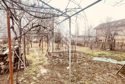 Casa “la gri” cu gradina, zona Calea Aurel Vlaicu - Bujac - 31