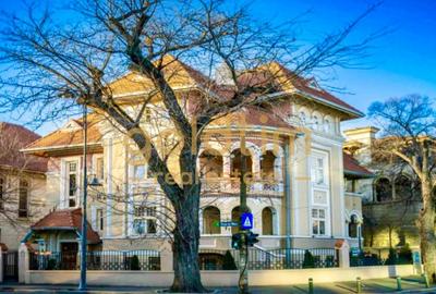 Casă individuală cu 18 camere în Aviatorilor