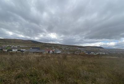 Teren intravilan cu PUZ aprobat 600mp, zona Profi - 1