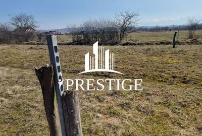 TEREN DE VÂNZARE 1000 MP ȘELIMBĂR ZONA TROIȚĂ | INVESTIȚIE - 6