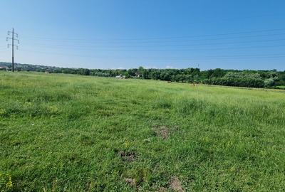 Teren intravilan in Rachiti - 2