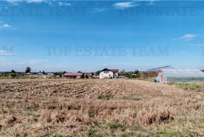 Ferma 3,3ha, din care 2,5ha intravilan, vila 7 camere, D+P+E+M, casa pentru munc - 9