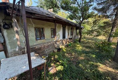 Teren in oras, Tatarasi str. Stejar - 7