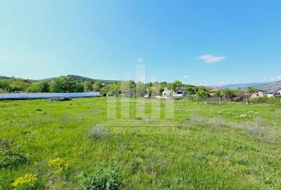 Teren intravilan | De vanzare | 3000 mp | 85 ml deschidere | Micesti - 5