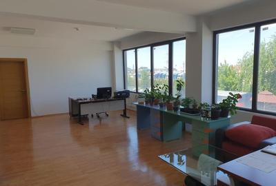 Zona Est - A2 - Pantelimon - sos Centura spatiu depozitare,logistic, ISU clasa C - 4