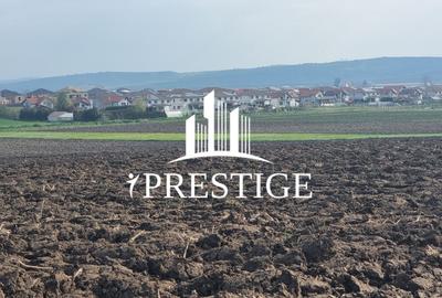 TEREN DE VÂNZARE ȘURA MICĂ 10.000 MP | 2 FRONTURI STRADALE, INVESTIȚIE - 11