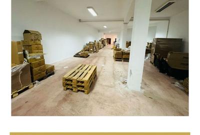 De inchiriat cladire comerciala potential P+M Gradiste Arad - 13