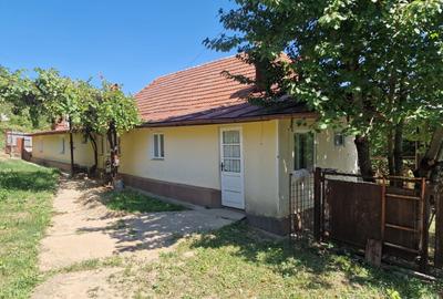 Casa in mediu rural cu teren - 15