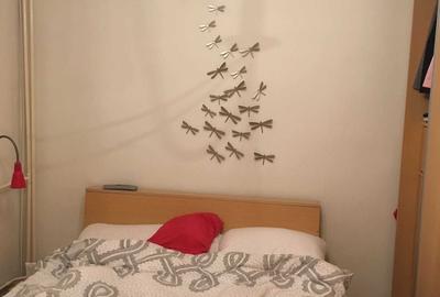 2 camere Iancului/Elev Ștefănescu - pet friendly - 14
