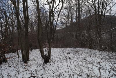 Sinaia – Peles, 1346 mp de teren, de vanzare! - 1