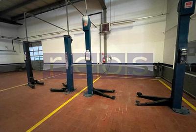 BRASOV-GHIMBAV | INCHIRIERE HALA +SHOWROOM | 6500 MP CONSTRUITI - 32