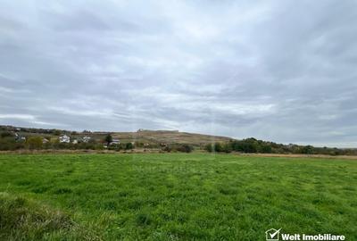 Teren 790mp, PUZ si HCL, S_Is (imobil servicii) colonia Sopor - 5