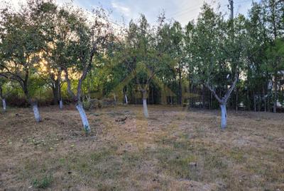 DOM00438 - De vanzare teren intravilan 1000 mp. Corbeanca - 6