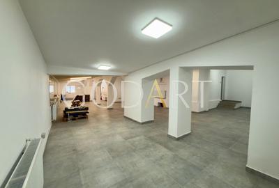 Vila spatioasa | Complet renovată | Central - 6