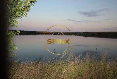 Vila impunatoare cu iesire la lac, Peris - 22