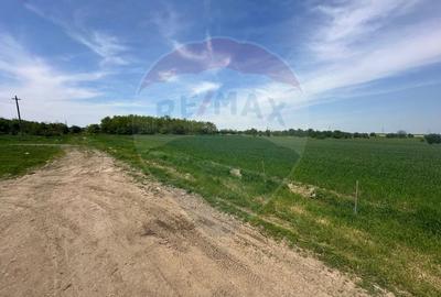 Teren 545,000mp Dragomiresti-Vale - 18