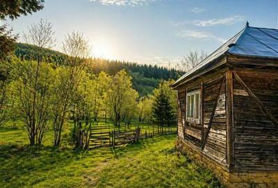 Teren la poalele padurii,Buzaiel,Vama Buzaului,DJ,constructie +utilitati,Brasov - 4
