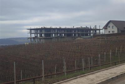 Apartament 3 camere Copou - Aleea Sadoveanu - 1