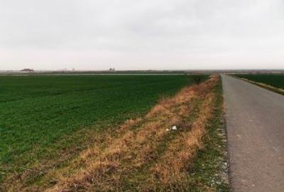 Vand teren intravilan 4,5 hectare vis a vis de Aeroportul Mihail Kogalniceanu - 3
