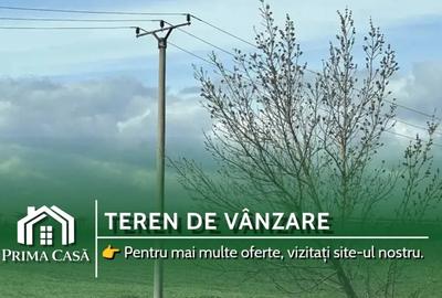 Teren intravilan de 20000 mp, în Est