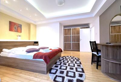 Apartament Spatios intr-o cladire cu Autorizatie ISU- 800 ml de Partie Ski - 10