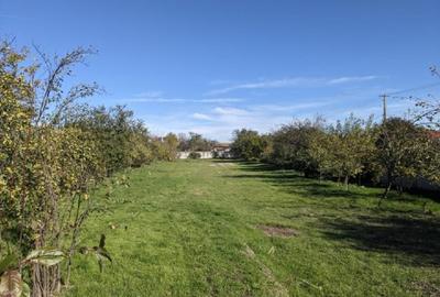 Proprietar,casa renovata ,teren 2000 mp deschidere 113 m,Farcasele Olt - 12