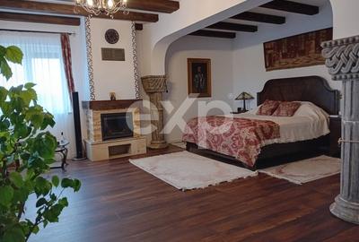 De vanzare vila exceptionala in stil Neo Romanesc cu vedere la lac si padure - 12
