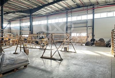 Hala noua de vanzare in Parcul Industrial I, zona Borsului - 3