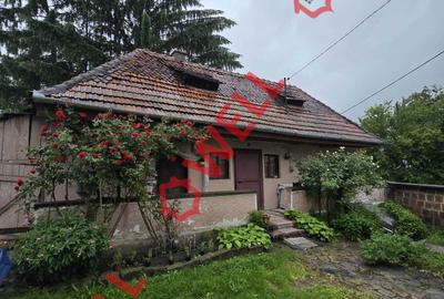 De vânzare casă familială în Micloșoara! - 10