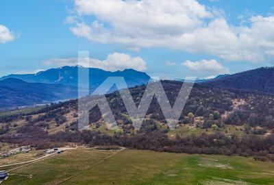 Teren Imprejmuit, 1078 mp, PUZ – Glajarie, Zona superba - 14