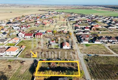 Teren intravilan imprejmuit, vegetatie matura 1200mp Sag Manastire - 1