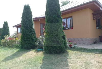 Casă de vacanță modernă cu teren generos –15min de Tecuci - 1