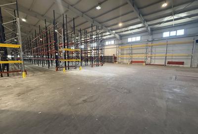 De inchiriat depozit logistic cu rafturi incluse, 2 rampe , Chitila - 12