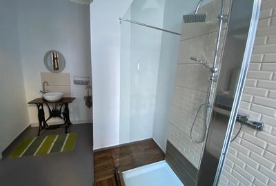 Inchiriez casa, spatiu comercial in Sibiu ultracentral - 13
