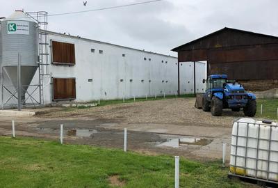 Hala | Spatiu depozitare, productie de inchiriat | Les, Bihor - 8
