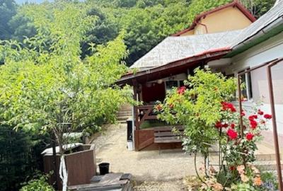 ZONA PARC - Valea Rosie (sus) casuta + vila cu teren 834mp finisate! - 27