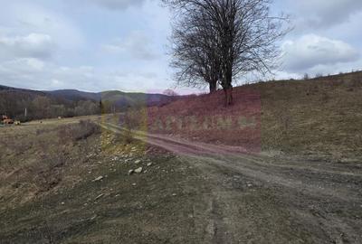Teren intravilan 2200 mp de vanzare in Valea Doftanei - 5