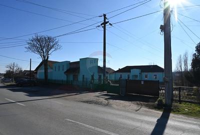 Spațiu industrial, 1574 mp în Brestei