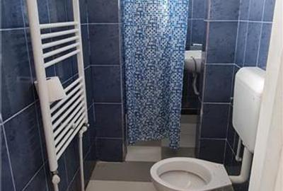 Cazare muncitori garsoniere/apartamente la curte in Vladimirescu - 19
