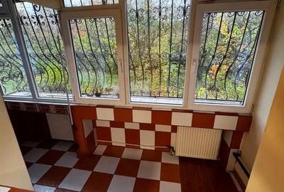 Tineretului, vizavi Palatul Copiilor si Parc Tineretului - 2