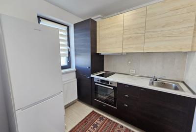 Apartament cu o camera de inchiriat, Hils Pallady - 11