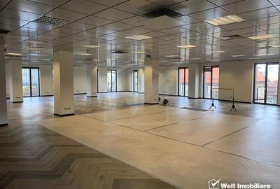Birouri moderne 500mp, locatie ultracentral, piata Muzeului - 1