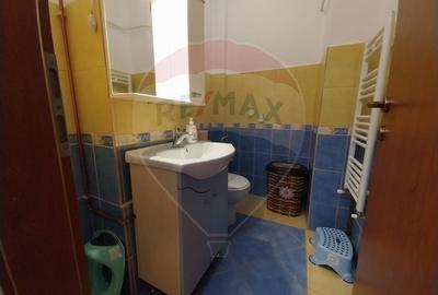 Apartament cu 3 camere  Promenada- Calea Severinului-Toporasi - 15