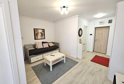 Apartament cu o camera de inchiriat, Hils Pallady - 12