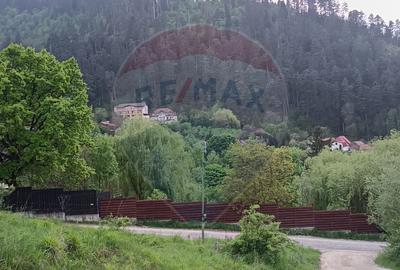 Teren pregătit pentru construcția casei tale! - 18