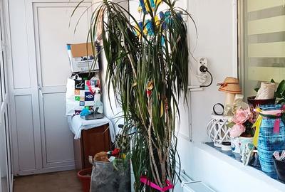 OLTENITEI-PIATA SUDULUI - 5