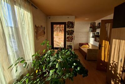 De vanzare casa singur in curte, 3 camere, Sg. Mures, Zona Nordului - 5