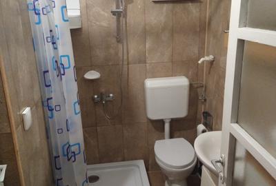 Casa de Inchiriat | 5 camere | 4 bai | zona Cetate - 10