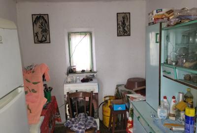 Casa de vânzare  Comuna Salcia Sat Tudor Vladimirescu  jud Teleorman - 9