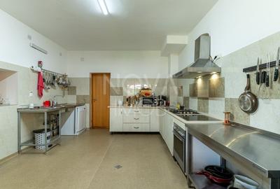 Casa + Pensiune deosebita - Orlat, Sibiu - 43